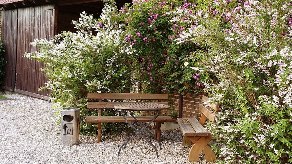 Hotel Nordic Spreewald Lübbenau Dış mekan fotoğraf